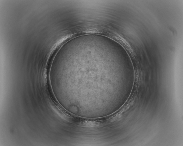 X0000113590298200909181337