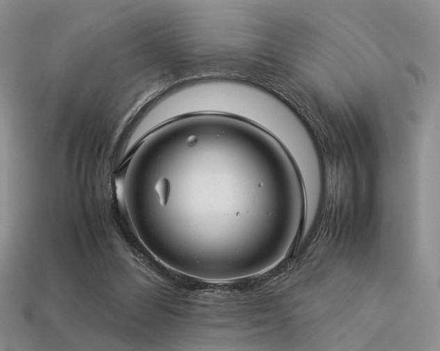 X0000113590300200909181337