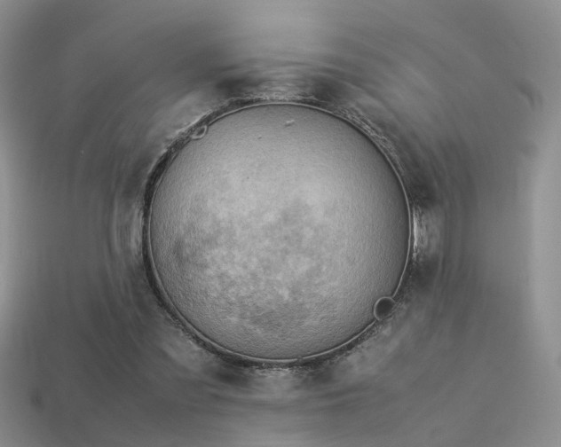 X0000113590301200909181337