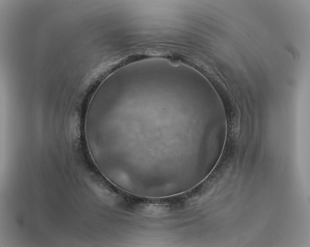 X0000113590303200909181337