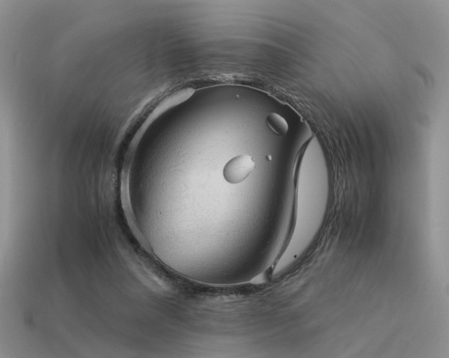 X0000113590304200909181337