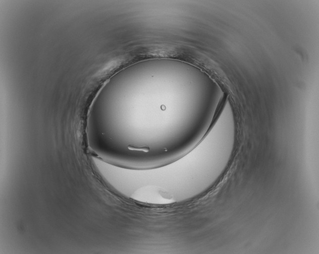 X0000113590305200909181337