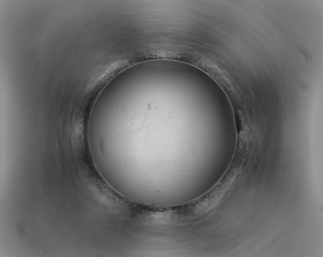 X0000113590306200909181337