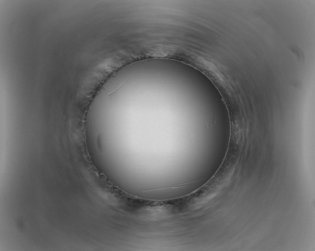 X0000113590307200909181337