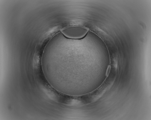 X0000113590308200909181337