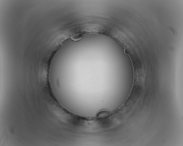 X0000113590309200909181337