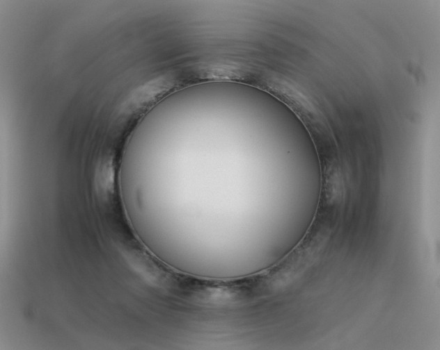 X0000113590310200909181337