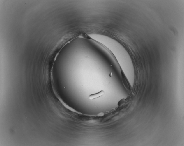 X0000113590312200909181337