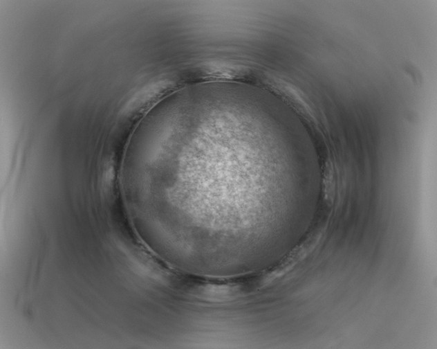 X0000113590314200909181337