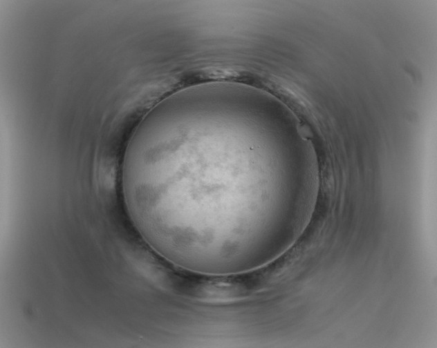 X0000113590315200909181337