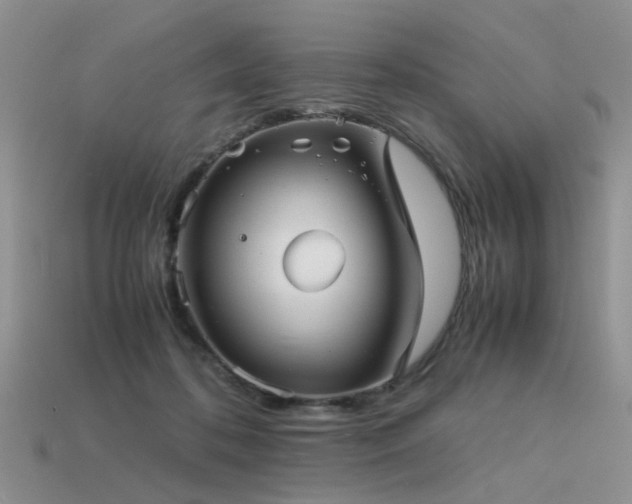 X0000113590316200909181337