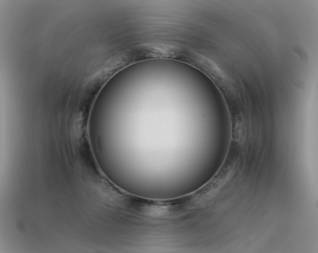 X0000113590318200909181337