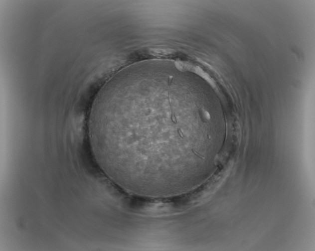 X0000113590319200909181337