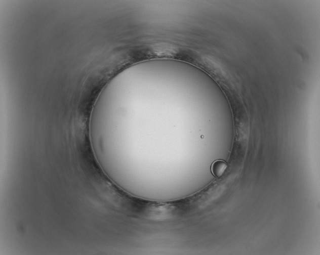 X0000113590321200909181337