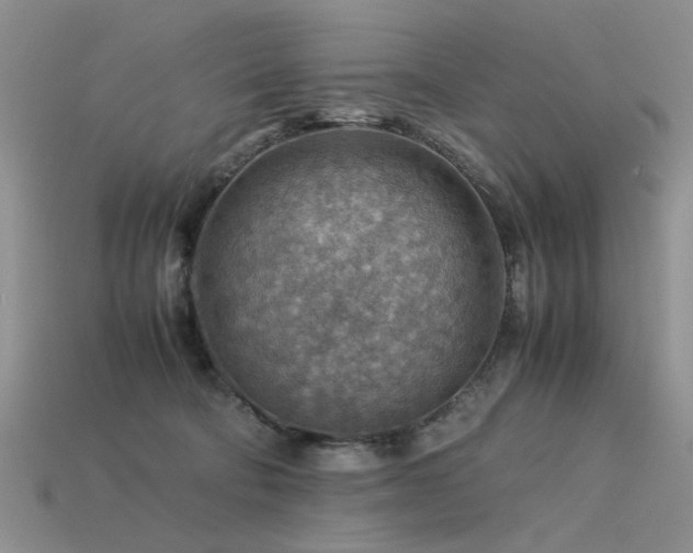 X0000113590322200909181337