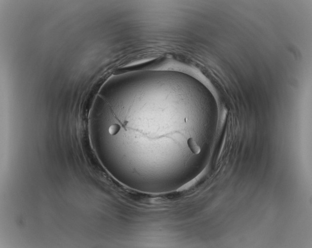 X0000113590324200909181337