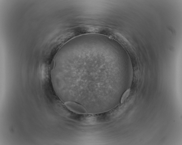 X0000113590325200909181337