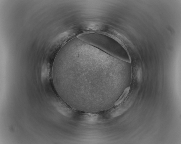 X0000113590328200909181337