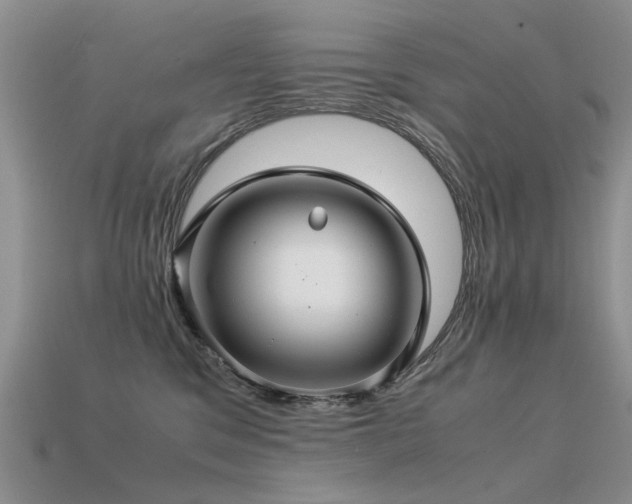 X0000113590329200909181337