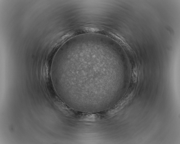 X0000113590330200909181337