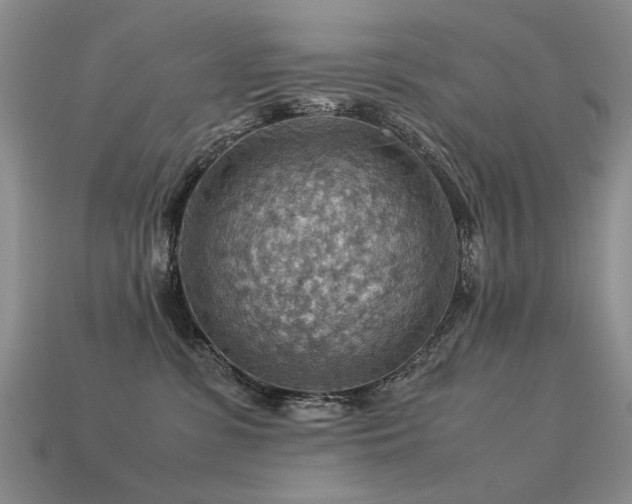 X0000113590331200909181337