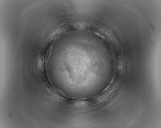 X0000113590332200909181337