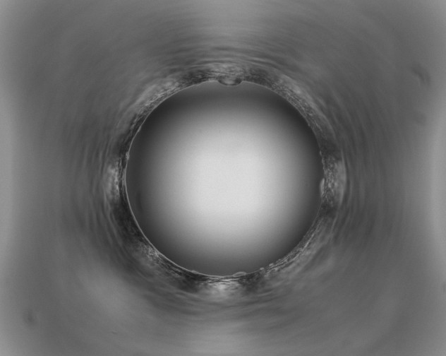 X0000113590333200909181337