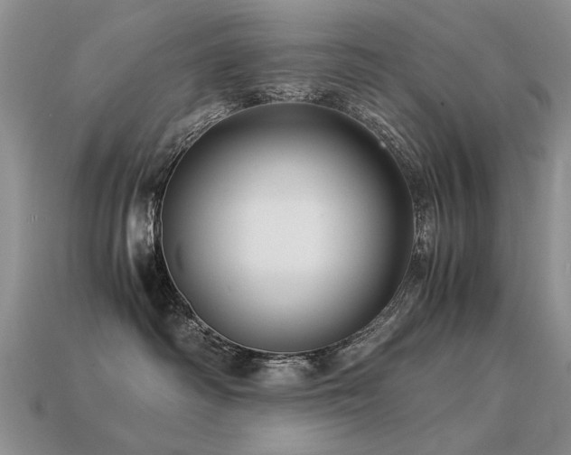 X0000113590334200909181337