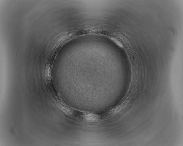 X0000113590336200909181336