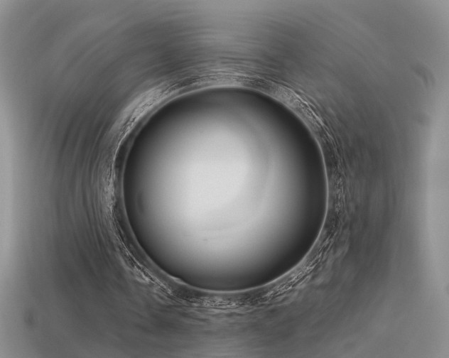 X0000113590338200909181336