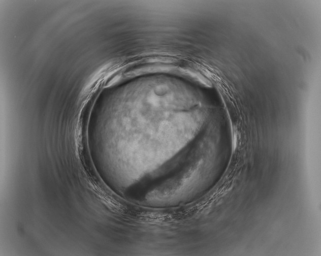 X0000113590339200909181336