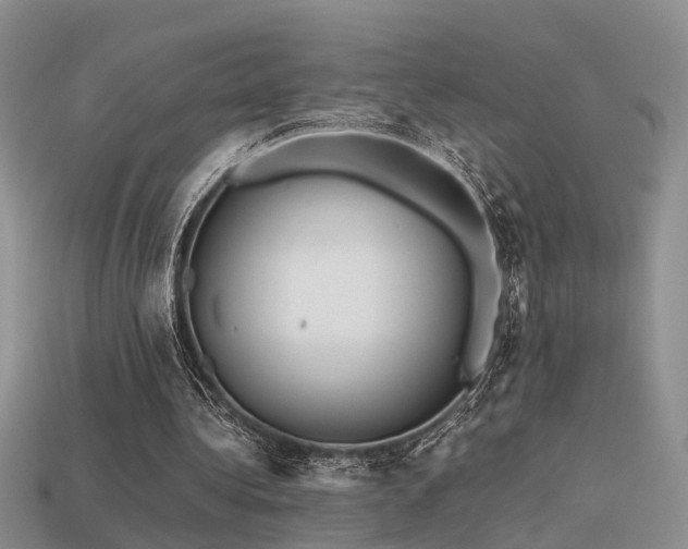 X0000113590340200909181336