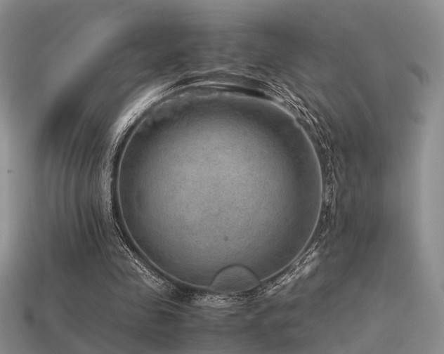 X0000113590341200909181336