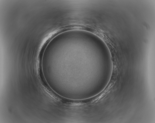 X0000113590342200909181336