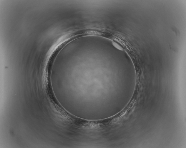 X0000113590343200909181336