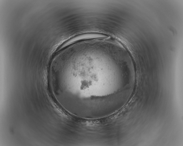 X0000113590345200909181336