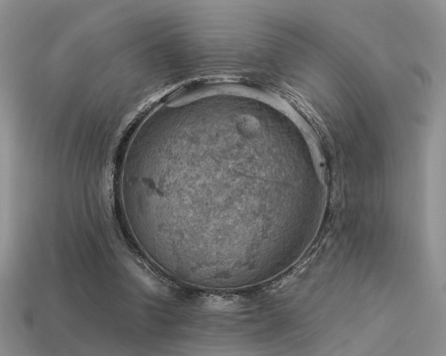 X0000113590346200909181336