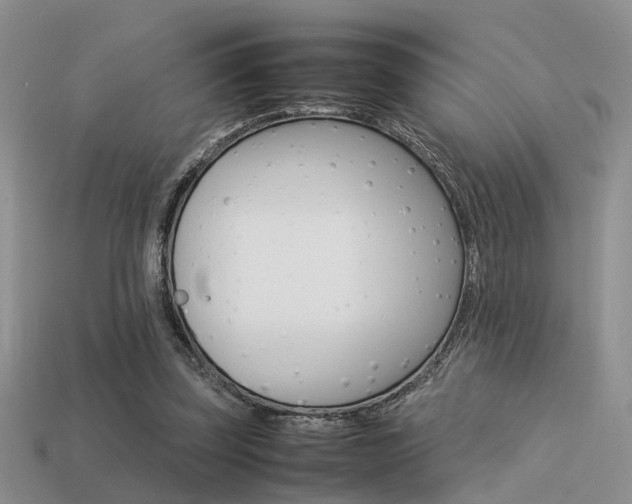 X0000113590347200909181336