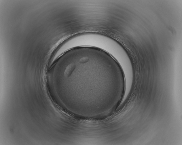 X0000113590348200909181336