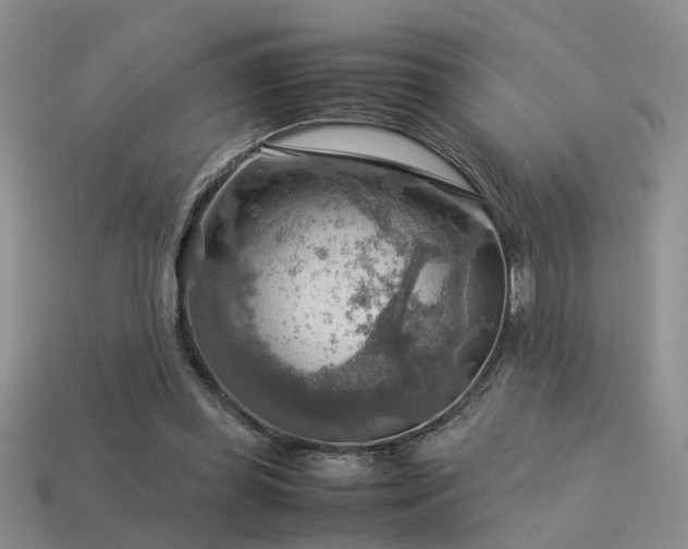 X0000113590349200909181336