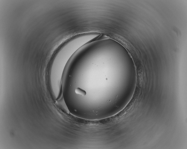 X0000113590350200909181336