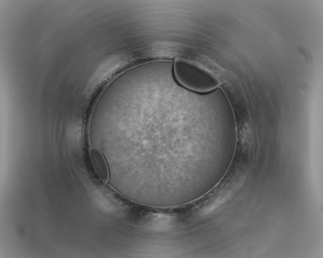 X0000113590352200909181336