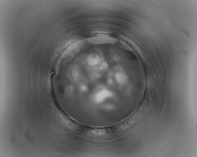 X0000113590353200909181336