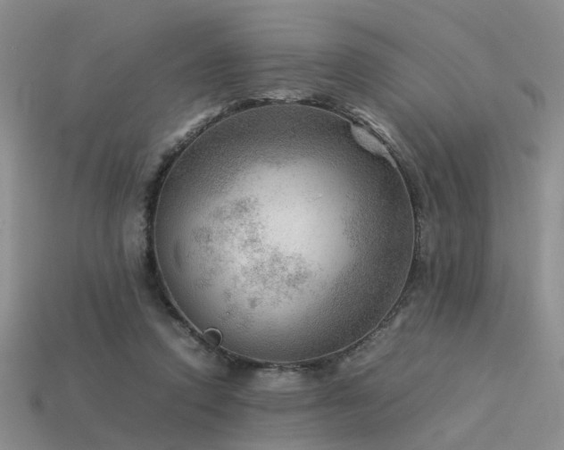 X0000113590354200909181336