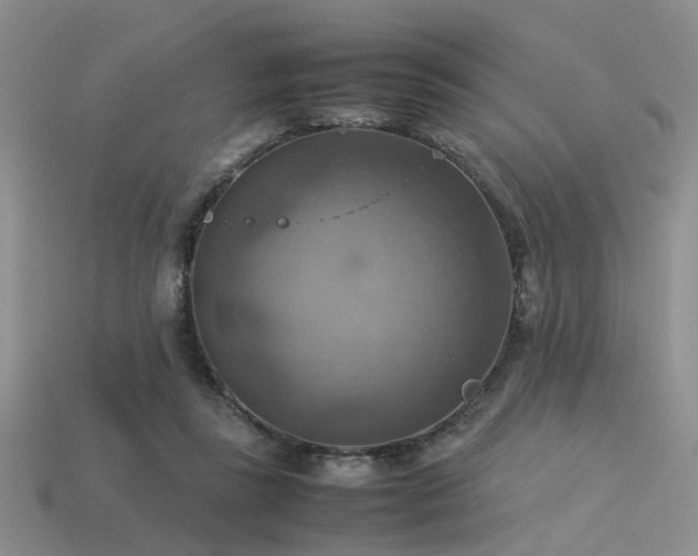 X0000113590355200909181336