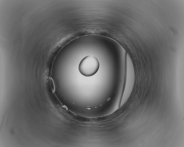 X0000113590356200909181336