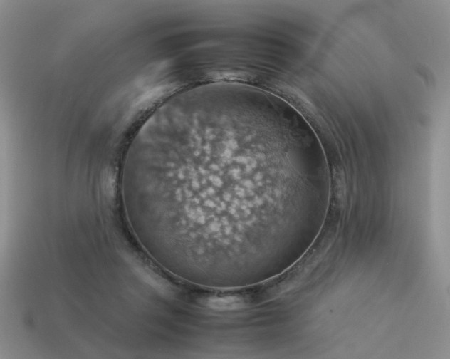 X0000113590357200909181336