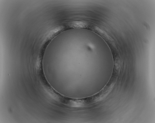 X0000113590359200909181336