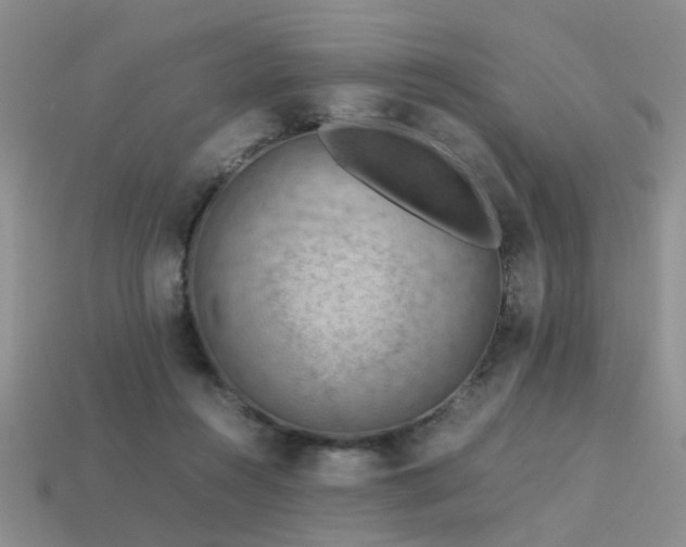 X0000113590360200909181336