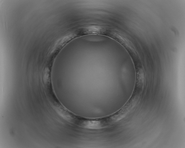 X0000113590361200909181336